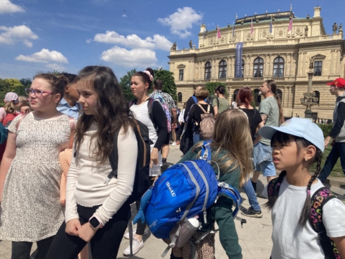 IMG 7153